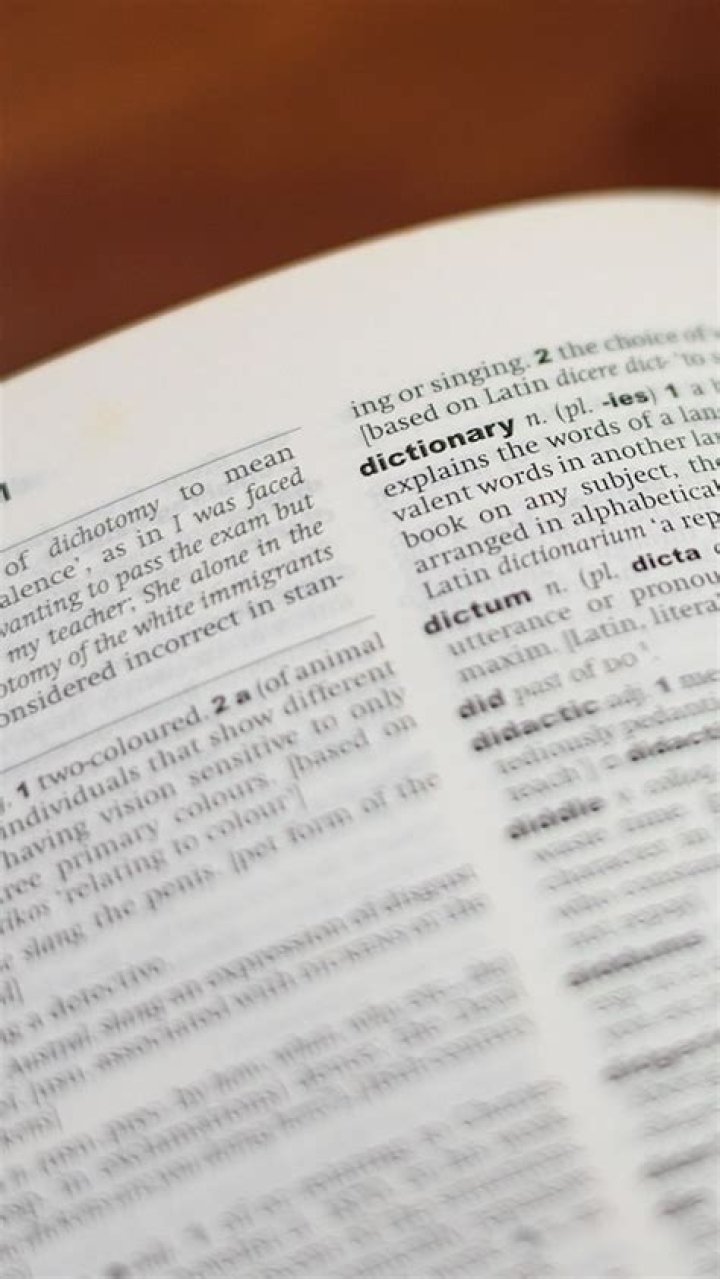 Is groper in the dictionary?