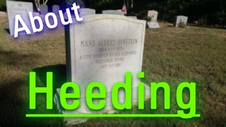 Is heeding a real word?