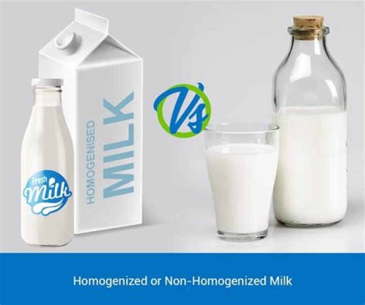 Is homogenized milk unhealthy?