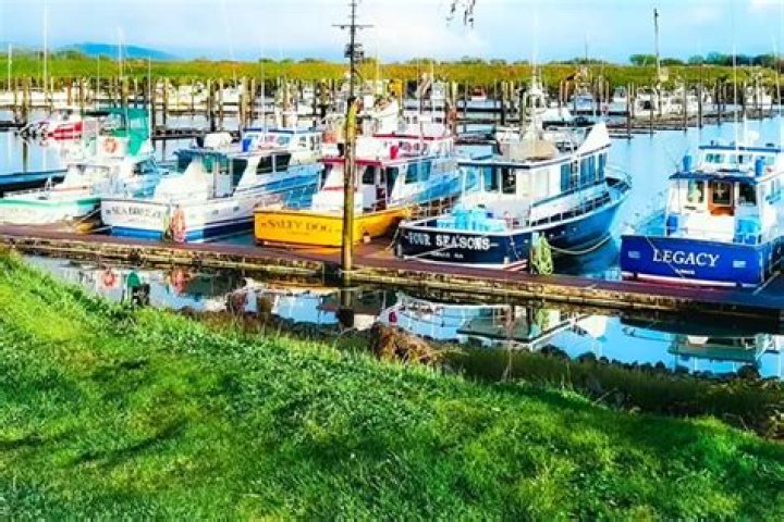 Is ilwaco wa a good place to live?