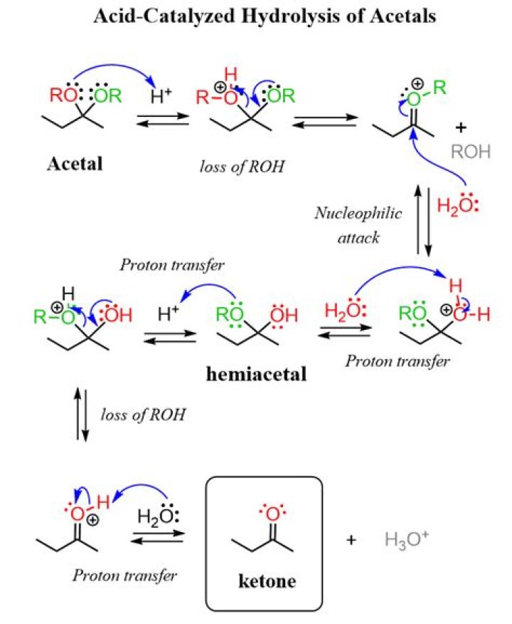 Is it catalysed or catalyzed?