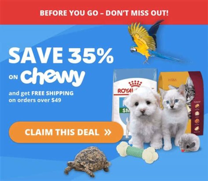 Is mums poisonous to dogs?