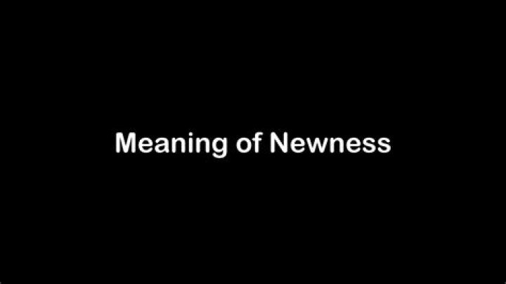 Is newness a real word?