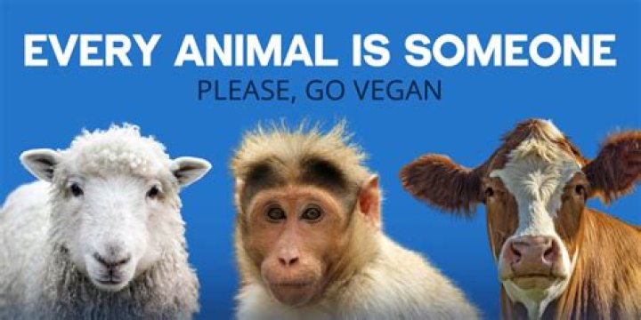 Is peta in the uk?