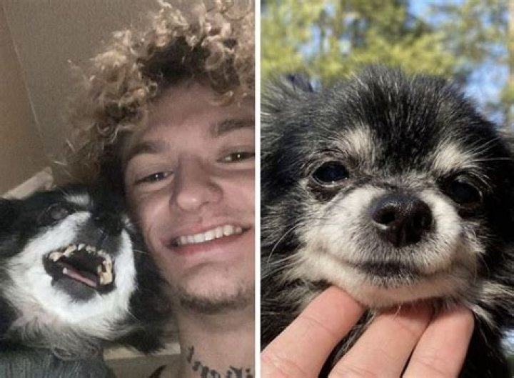 Is pudgy the dog dead?