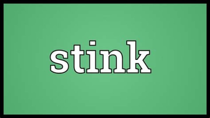 Is stink a real word?