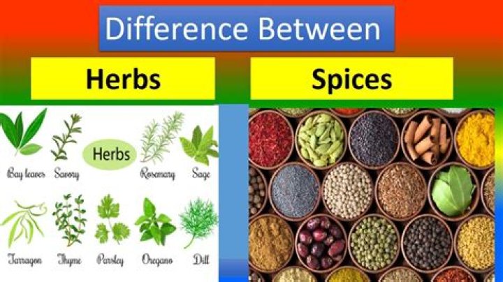 Is the difference between herbs and spices?