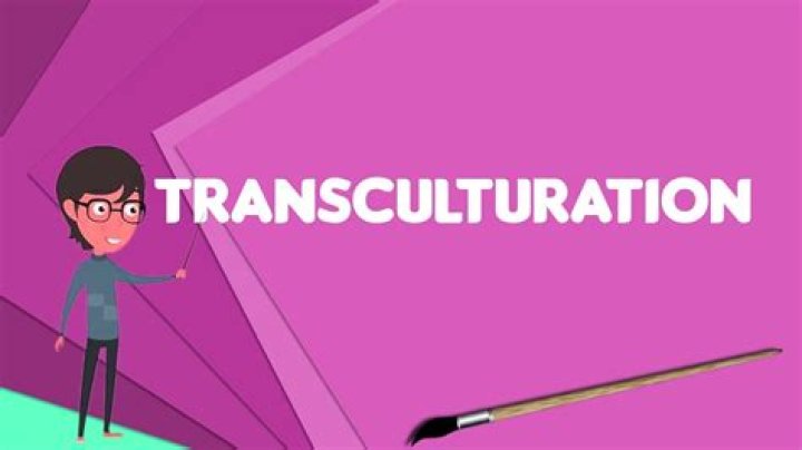 Is transculturation in the dictionary?