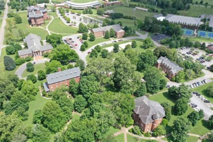 Is tusculum university d1?
