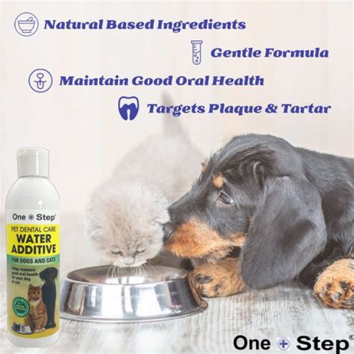 Is water additive safe for dogs?