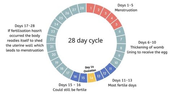On a 37 day cycle when do i ovulate?