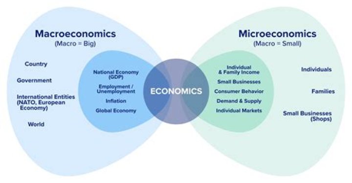 Should i take micro or macro economics?