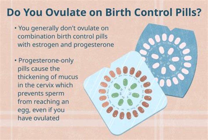 Should you ovulate while on birth control?