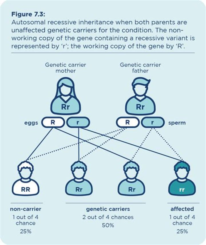 Was does recessive mean?