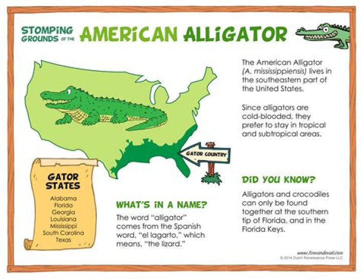 Were do alligators live?