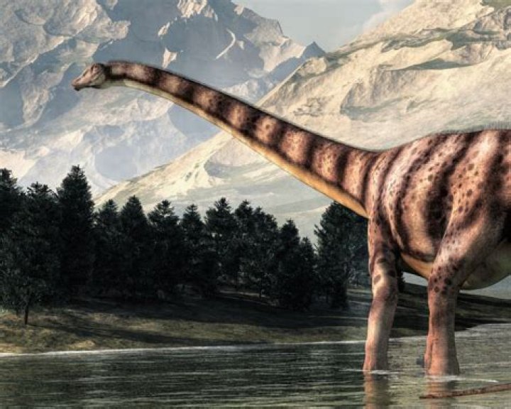 Were do apatosaurus live?