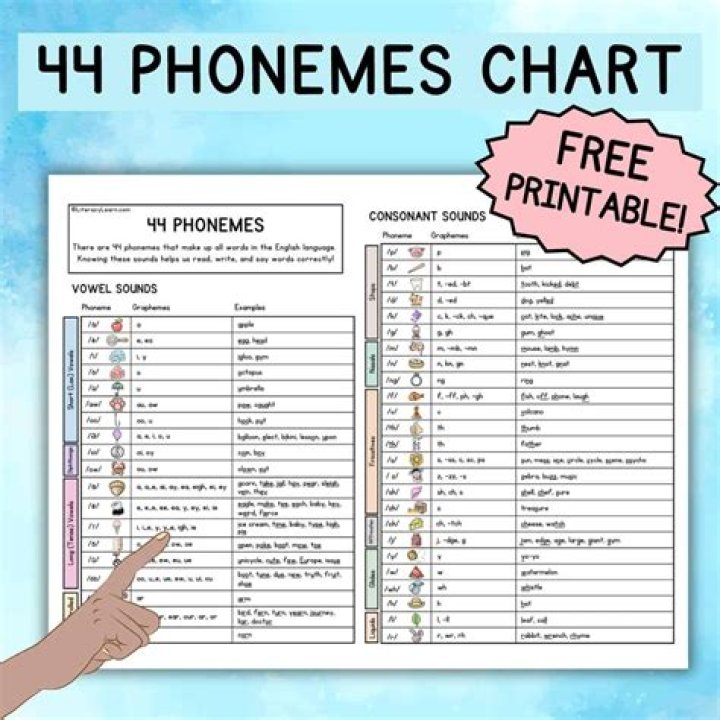 What are common types of phonemes?