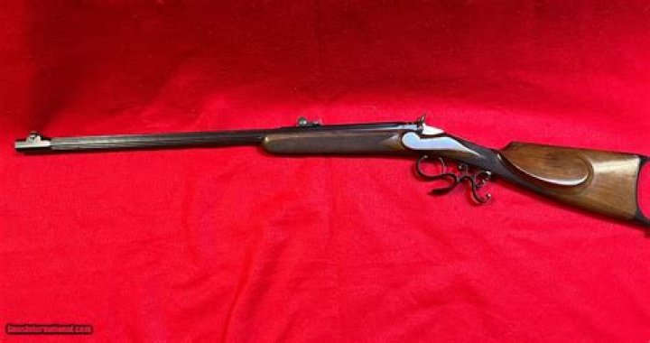 What are flobert guns?