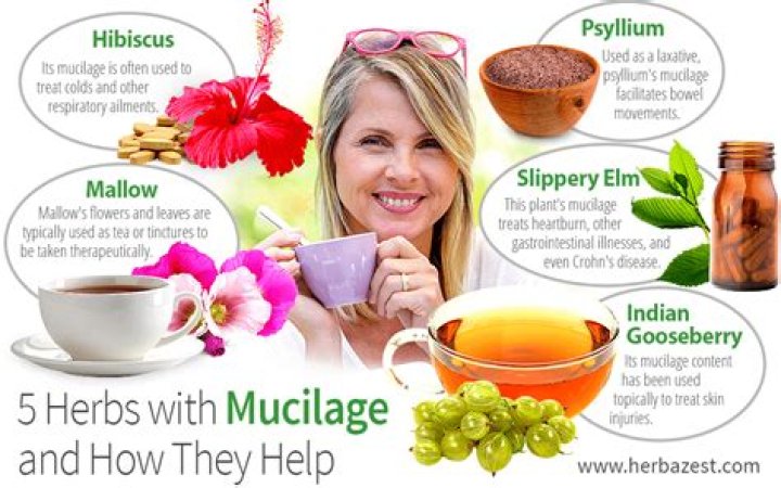 What are mucilaginous herbs?