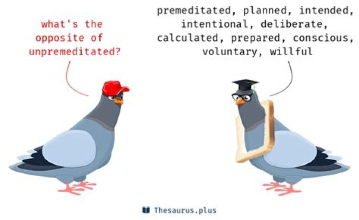 What are other words for unpremeditated?