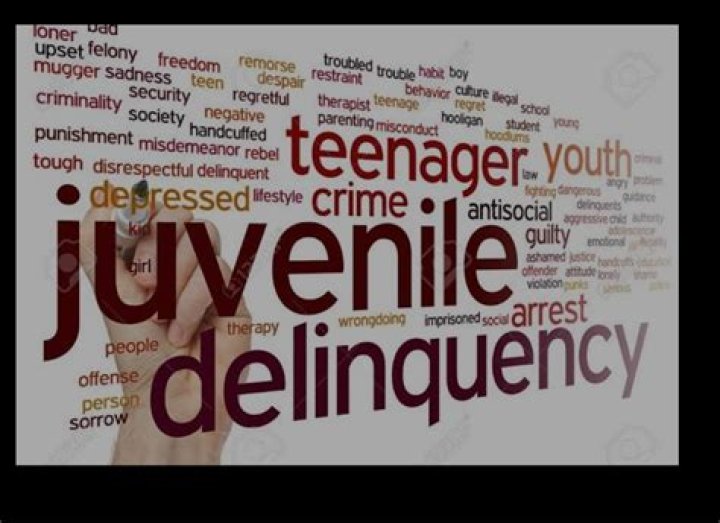 What are the effects of juvenile delinquency?