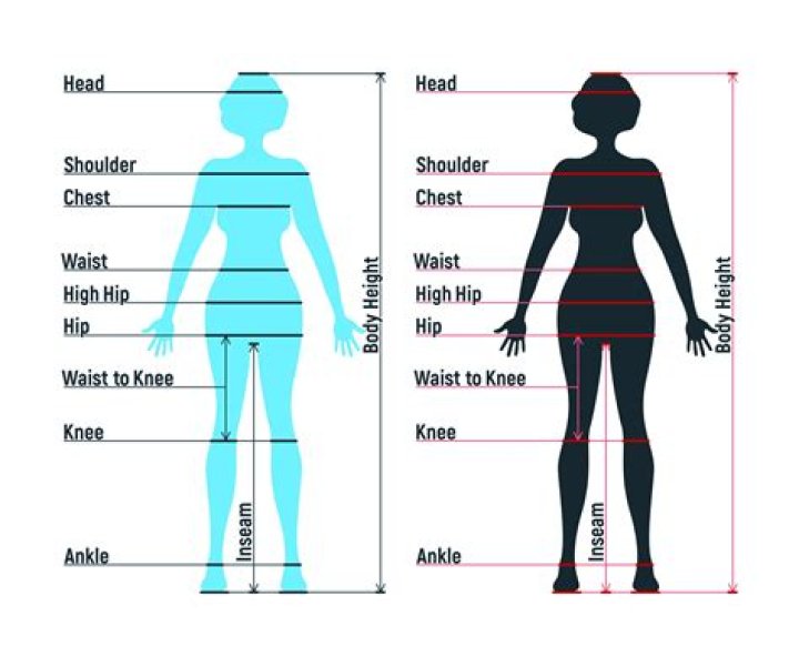 What are the types of measurements in dressmaking?