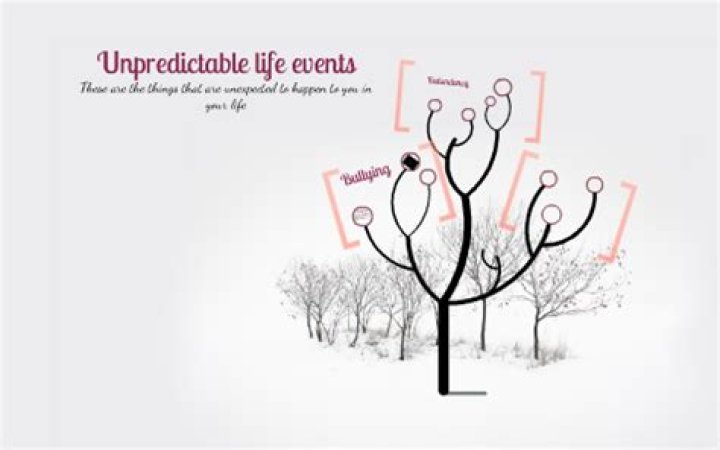 What are unpredictable life events?