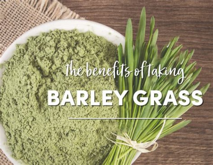 What barley grass is good for?