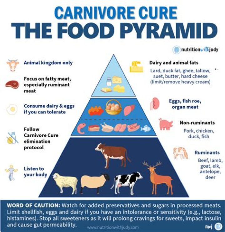 What carnivores do humans eat?