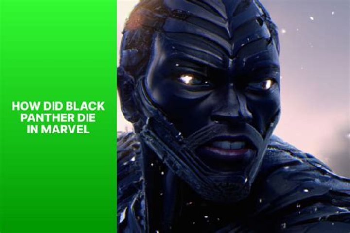 What did black panther die from?