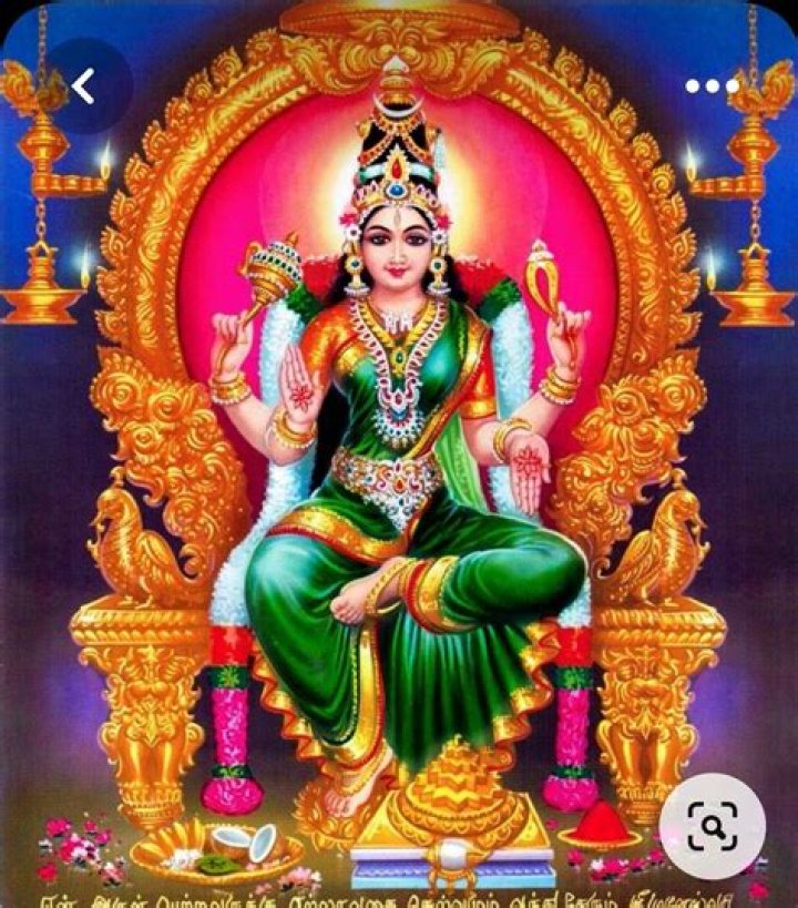 What did lalita saw in her garden?