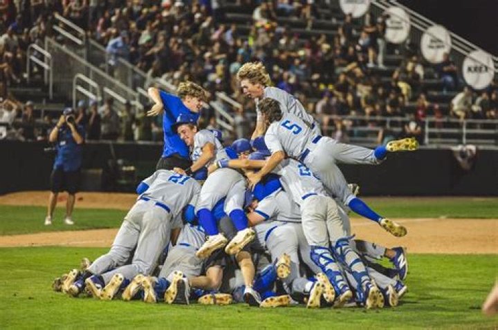 What division is blinn college baseball?