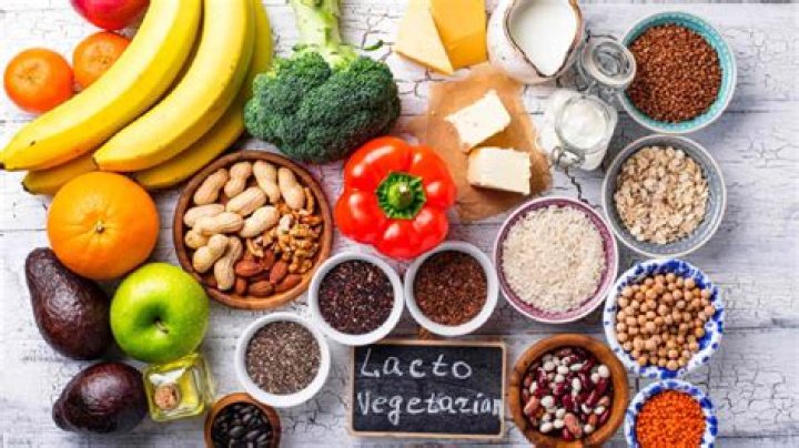 What do lacto vegetarians not eat?