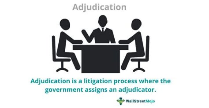 What does adjudication mean in politics?
