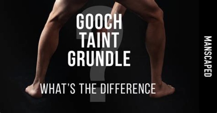 What does grundle mean?
