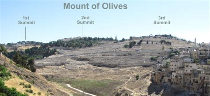 What does olivetti mean?