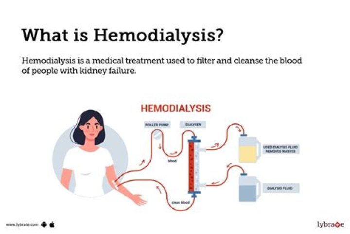 What does the medical term arthrodynia mean?