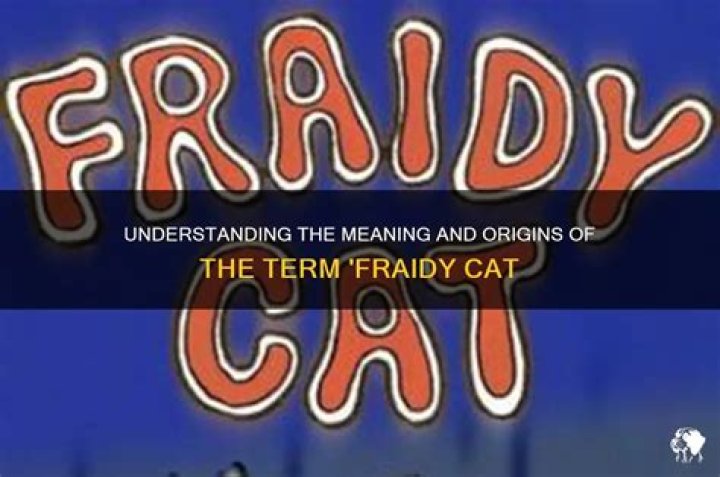 What does the term fraidy-cat mean?