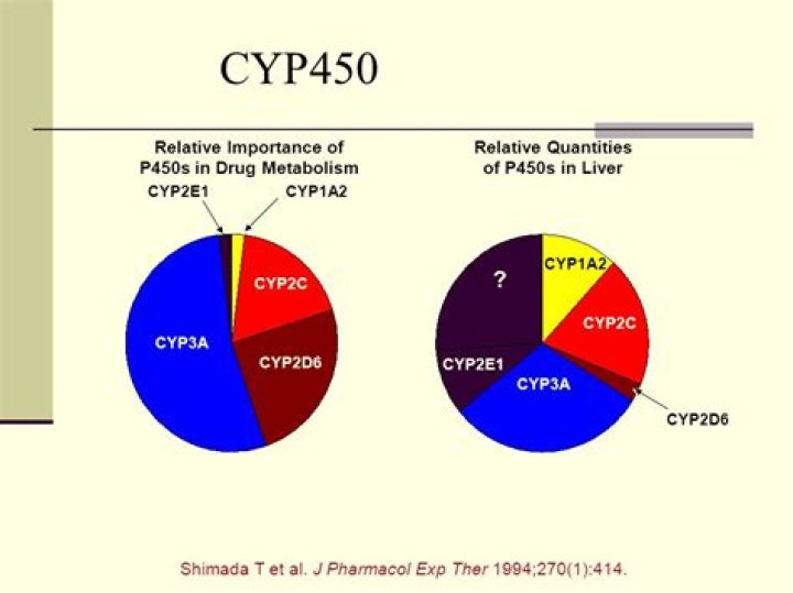 What drugs are metabolized by cyp450?