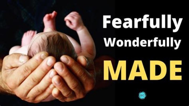 What fearfully and wonderfully made mean?