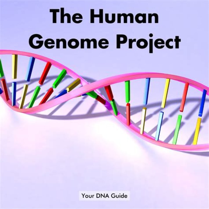 What genome is human?