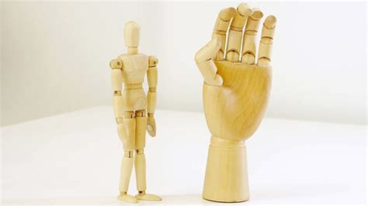 What is a manikin hand?