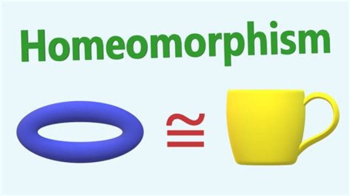 What is a self-homeomorphism?