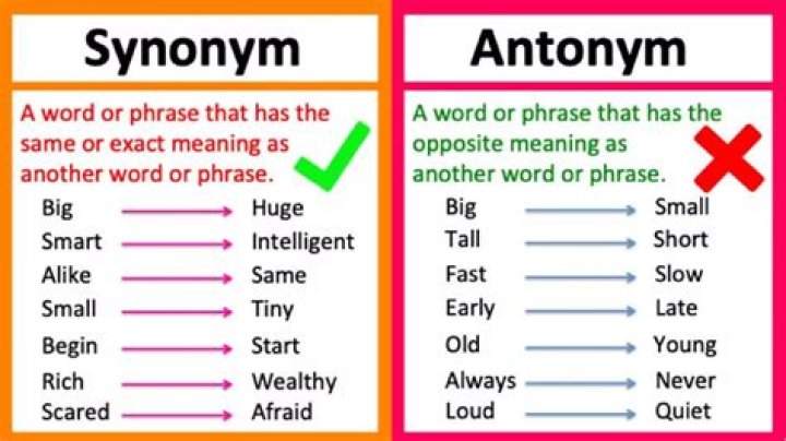 What is a synonym for undaunting?