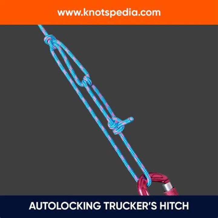 What is a trucker's hitch knot?