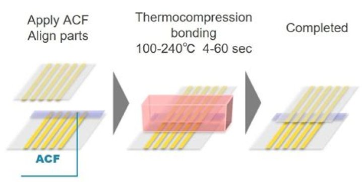 What is acf in forest department?