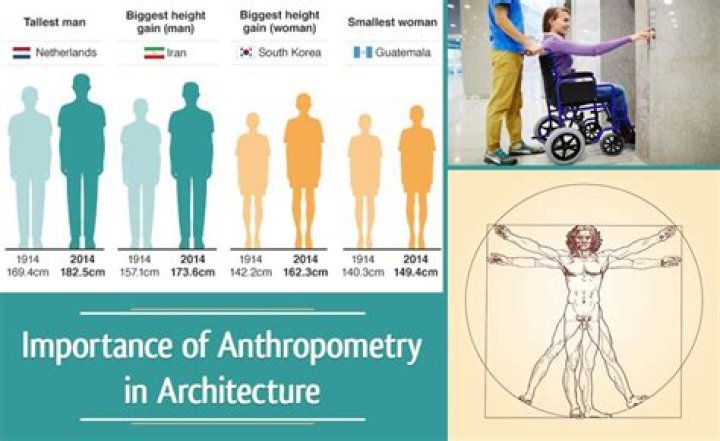 What is anthropometry in criminology?