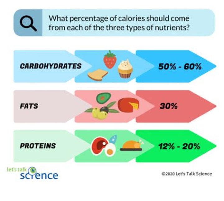 What is calories definition?