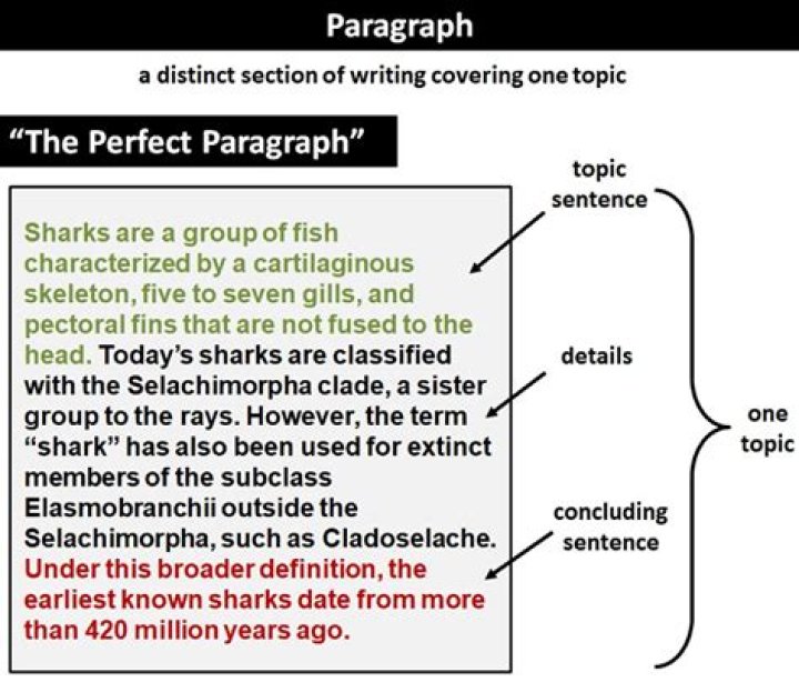 What is considered a paragraph?