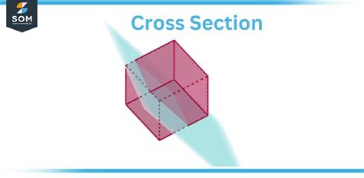 What is cross section date?